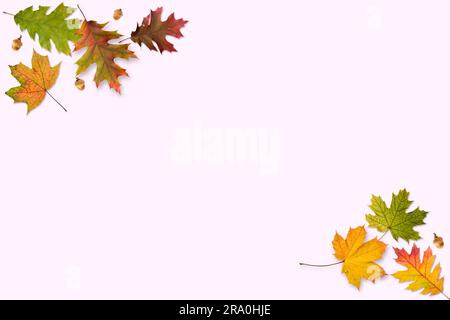 A frame made with autumn leaves isolated on pink background Stock Photo