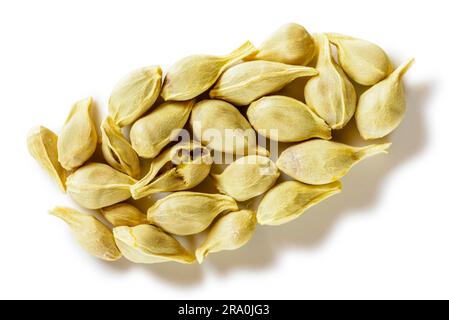 Macro of orange's seeds isolated on white background Stock Photo