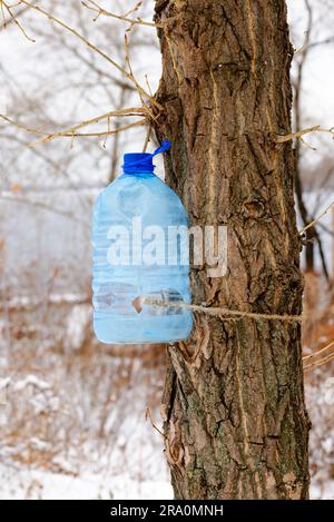 Big plastic bottle used as feeder for birds in winter Stock Photo