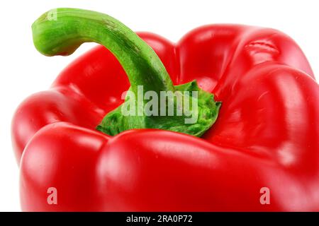 Extreme closeup of colored red paprika isolated on a white background Stock Photo