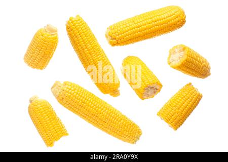 Fresh corn cobs on white background Stock Photo
