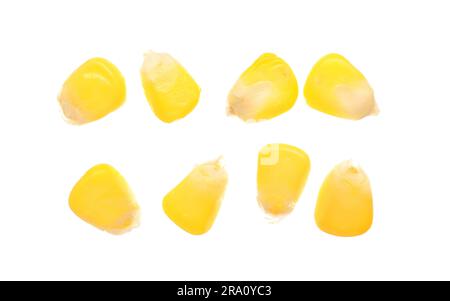 Fresh corn seeds on white background Stock Photo