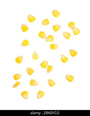 Fresh corn seeds on white background Stock Photo