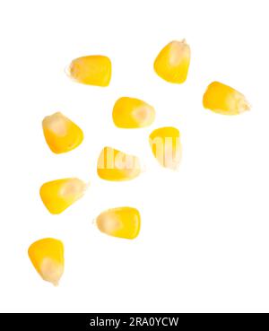 Fresh corn seeds on white background Stock Photo