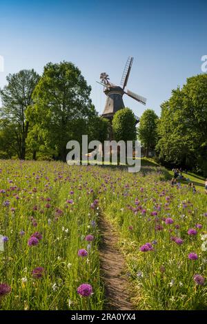 Windmill with colourful flowerbeds, Herdentorswallmuehle, Hanseatic City of Bremen, Germany Stock Photo