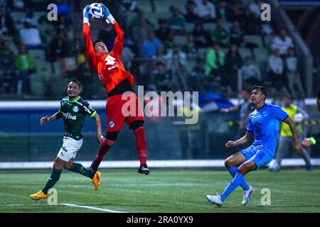 Sao Paulo, Brazil. 30th June, 2023. SP - SAO PAULO - 06/29/2023 - LIBERTADORES 2023, PALMEIRAS X BOLIVAR Bolivar goalkeeper during a match against Palmeiras at Arena Allianz Parque stadium for the Libertadores 2023 championship. Photo: Marcello Zambrana/AGIF/Sipa USA Credit: Sipa USA/Alamy Live News Stock Photo