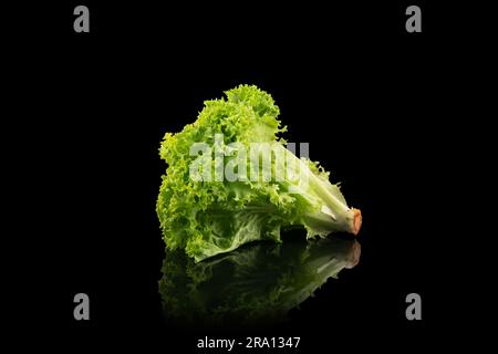 Salad leaf isolated on a black background. Fresh green lettuce salad leaves isolated on black Stock Photo