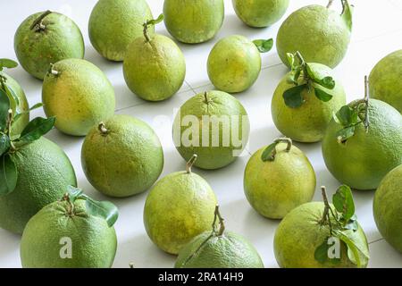 South Vietnam Grapefruit Bentre Lochao Pomelo sweet pomelo fruits stock photo hands hold slices Stock Photo