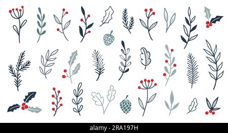 Hand drawn vector winter floral elements. Winter branches and