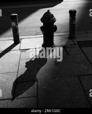 fire hydrant in silhouette black and white Stock Photo