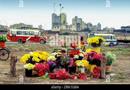 Peru, woman sells flowers at the side of a road that's going into the centre of Lima. Stock Photo