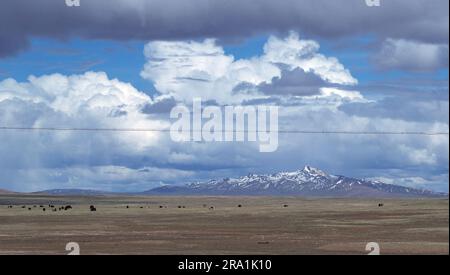 (230630) -- GOLMUD, June 30, 2023 (Xinhua) -- This photo taken on June 14, 2023 shows a view near the Tuotuo River at the source region of the Yangtze River, China's longest river, in northwest China's Qinghai Province. The 6,300-kilometer Yangtze River, the longest river in China and the third longest in the world, has three sources, namely the Tuotuo River, the Damqu River in the south and the Qumar River in the north. Located in the hinterland of the Qinghai-Tibet Plateau between the Kunlun Mountains and the Tanggula Mountains, the Yangtze River source region, with an average elevation Stock Photo