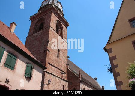 our lady of assumption church in bergheim in alsace (france) Stock Photo