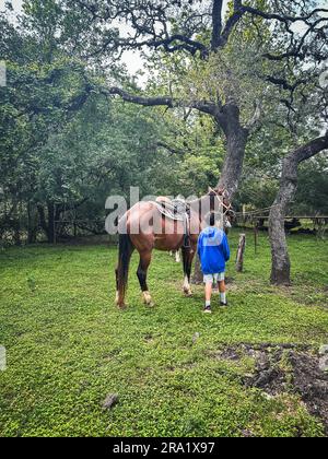 Boy standing next to brown horse in grassy field. Stock Photo