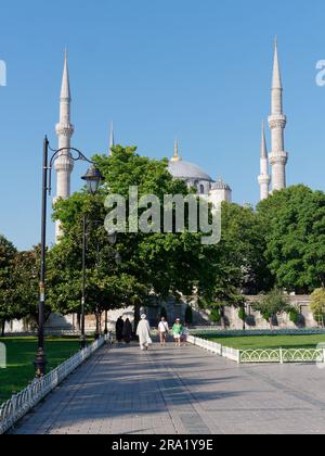 Gardens and the Sultan Ahmed aka Blue Mosque behind, Sultanahmet ...