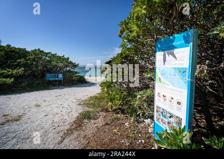 Information sign beside walkway to Lagoon Beach, Lady Elliot Island Eco Resort, Queensland, Australia Stock Photo