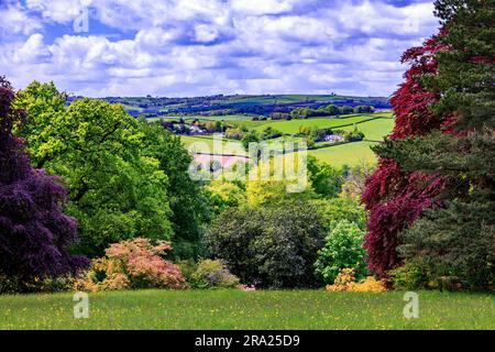 Looking across the Exe Valley from Knightshayes Court, nr Tiverton, Devon, England, UK Stock Photo