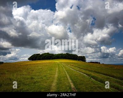 Chanctonbury Ring, South Downs National Park, West Sussex Stock Photo