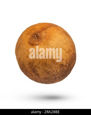Avocado pit on a white isolated background. A fresh avocado pit casts a shadow. Avocado seed isolate. Stock Photo