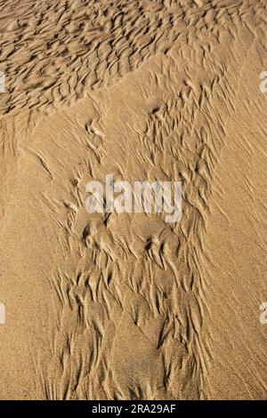 Sand ripples at low tide on Mawgan Porth beach in Cornwall in the UK. Stock Photo