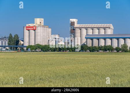 France, Puy de Dome, Ennezat, buildings of the Limagrain Agricultural ...