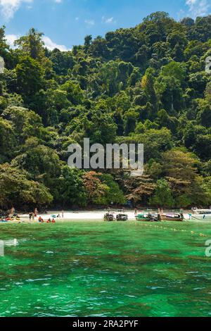 Thailand, Krabi Province, Koh Phi Phi Don island, Monkey beach Stock Photo