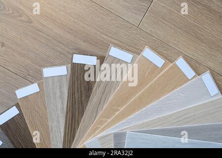 Wooden flooring samples. Interior designer flat lay composition with copy space. Try before buy sample, choosing different wood floor shades, textures Stock Photo