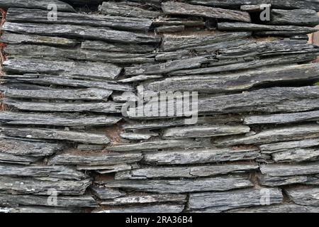 slate wall, cornwall Stock Photo
