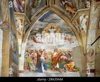 Ascensione di Gesù  - affresco - Gerolamo Romanino - 1534 - Pisogne (Bs), Pieve di santa Maria della Neve Stock Photo