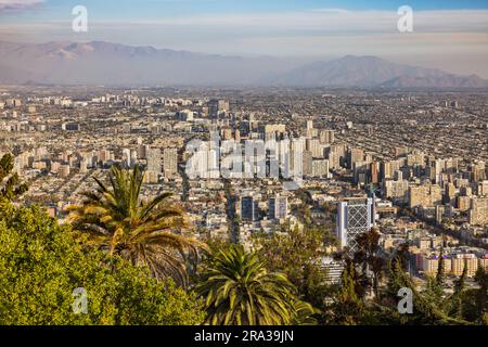 Evening atmosphere with palm trees and spectacular view of the city of Santiago de Chile on the city and the Andes from the viewpoint Cerro San Cristo Stock Photo