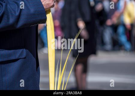 Madrid, Andalusia, Spain. Photo of a Spanish man wearing a suit and holding palm leaves on Palm Sunday, during the Holy Week, Semana Santa procession. Stock Photo