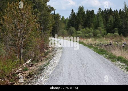 gravel bike trail through a wooded area near swamp on the lamoille valley rail train in vermont (cycling, walking, pedestrian path) Stock Photo