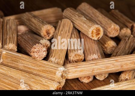 pile of oak dowel pins on cedar background, dowel pins used to join two pieces of wood, joint, joinery Stock Photo