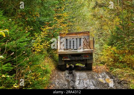 Country dirt road through the forest with large muddy puddles after rain Stock Photo