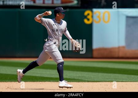 Oakland Athletics' Tyler Wade throws out Philadelphia Phillies' Josh  Harrison at first base during the fourth inning of a baseball game in  Oakland, Calif., Sunday, June 18, 2023. (AP Photo/Jeff Chiu Stock