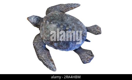 Archelon prehistoric turtle, illustration Stock Photo