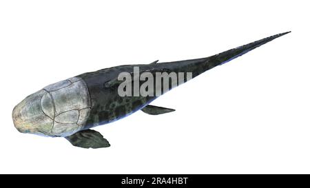 Dunkleosteus prehistoric fish, illustration Stock Photo - Alamy