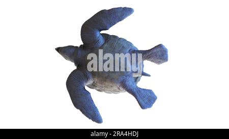 Archelon prehistoric turtle, illustration Stock Photo