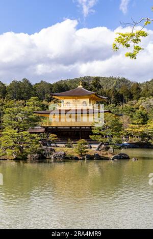 The Golden Pavilion temple, Kyoto,2023, Kinkaku-ji, officially named Rokuon-ji, is a Zen Buddhist temple in Kyoto, Japan,Asia Stock Photo