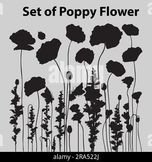 A set of silhouette poppy flower vector illustration Stock Vector
