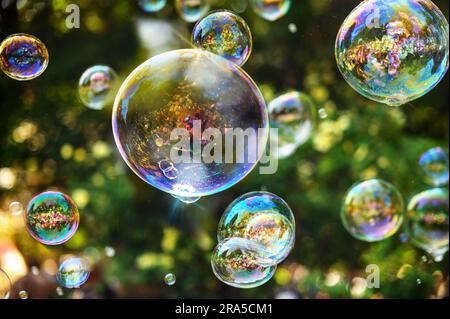 Rainbow soap bubbles on a dark blurred background. blower bubbles. Stock Photo