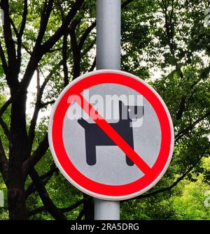 No dogs allowed round red sign pets prohibited symbol on metal pole with trees as background copy space photo Stock Photo