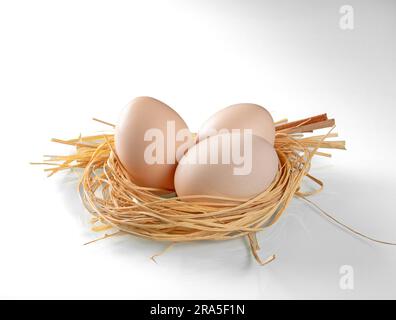 Three chicken eggs in a nest of straw close-up on a white background. Stock Photo