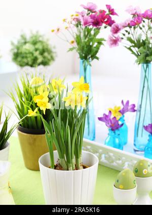 Place setting for Easter with daffodil and fresh green grass Stock Photo