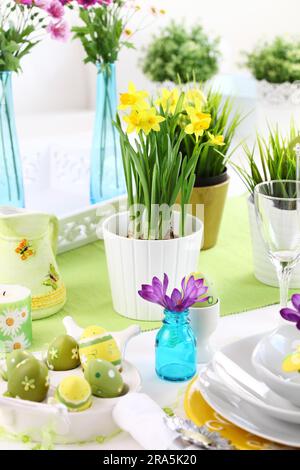 Place setting for Easter with daffodil and fresh green grass Stock Photo