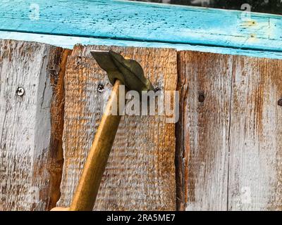 hammer on a wooden handle with a metal end. hammer nails on a wooden surface. metal nails are driven into a blue-painted board. fence construction. Stock Photo