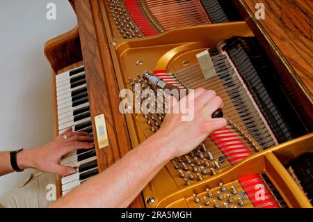 Piano is tuned, piano, music, make music, musical instrument, tune, keyboard, keyboard instrument, piano tuner Stock Photo