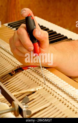 Piano is tuned, piano, music, make music, musical instrument, tune, keyboard, keyboard instrument, piano tuner Stock Photo