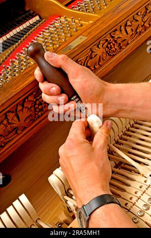 Piano is tuned, piano, music, make music, musical instrument, tune, keyboard instrument, piano tuner Stock Photo