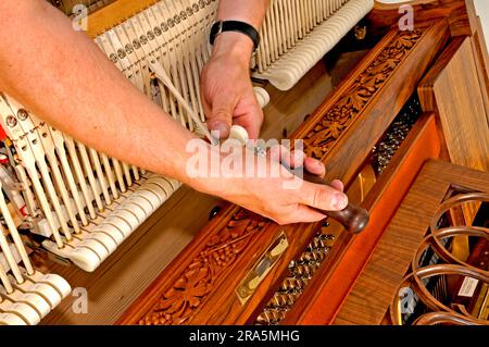 Piano is tuned, piano, music, make music, musical instrument, tune, keyboard instrument, piano tuner Stock Photo